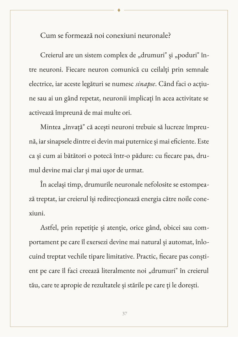Cum se formează noi conexiuni neuronale
